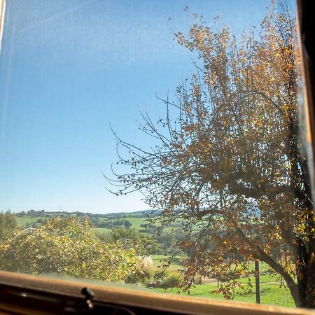 Vivere Retreat Neerim South Εξωτερικό φωτογραφία